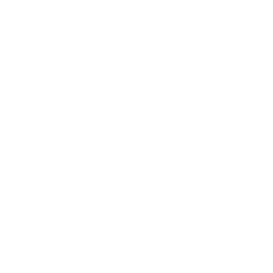 logo_mex_white